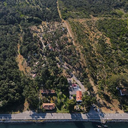 ホテル Parque De Campismo Orbitur São Jacinto エクステリア 写真